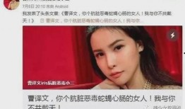 叶女士最新爆料,揭秘事件背后惊人真相